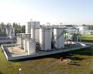 Gent plant